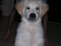Iarna 2008 054